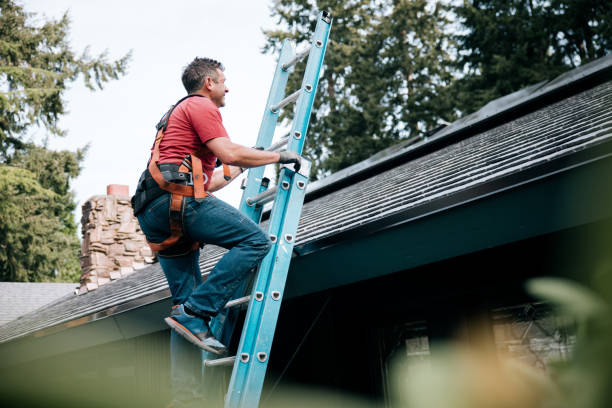 Best Metal Roofing Installation  in Silver Springs Shores, FL