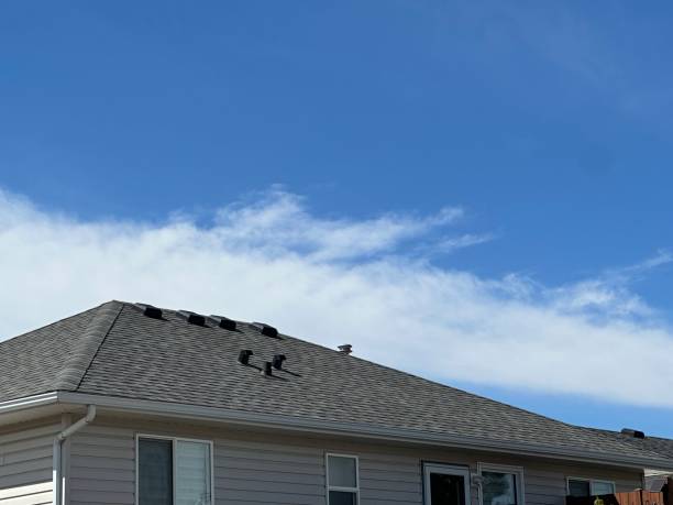 Best Roof Installation  in Silver Springs Shores, FL